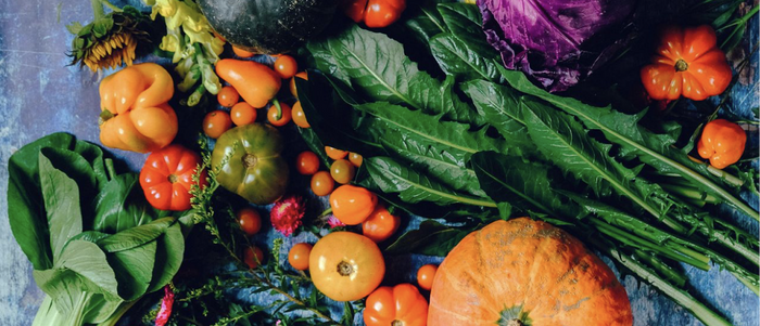 Best Foods and Habits for Lymphatic Health