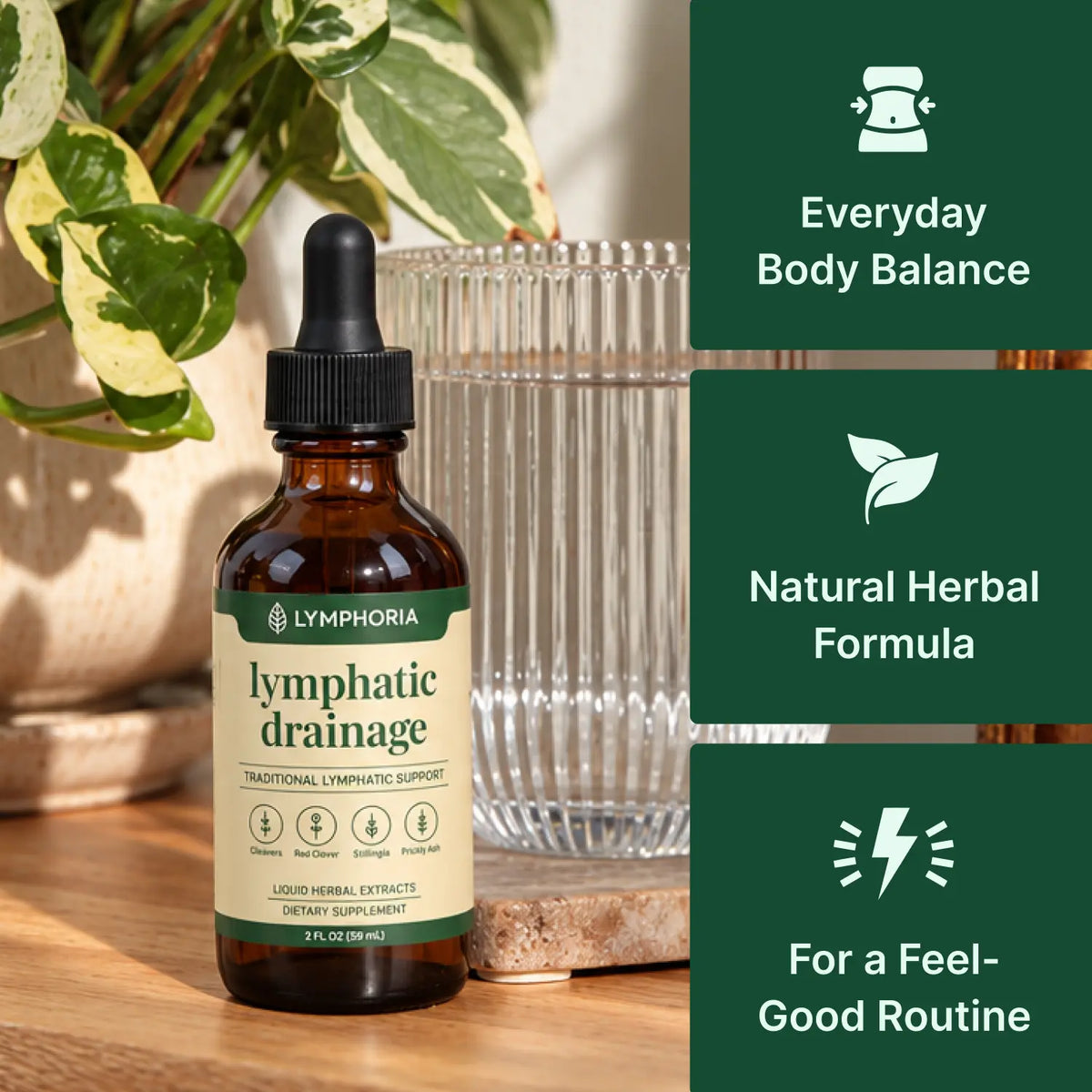 Lymphoria Wellness Drops