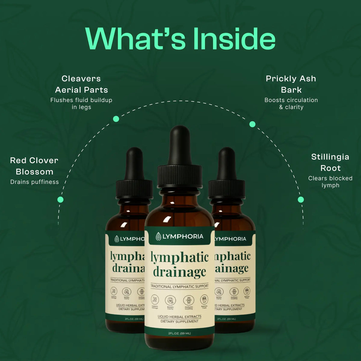 Lymphoria Wellness Drops