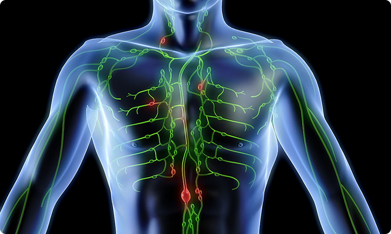 Lymphoria lymphatic system cleanse review