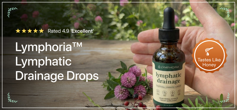 lymphatic system cleanse