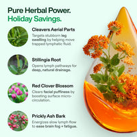 Lymphoria Lymphatic Wellness Drops