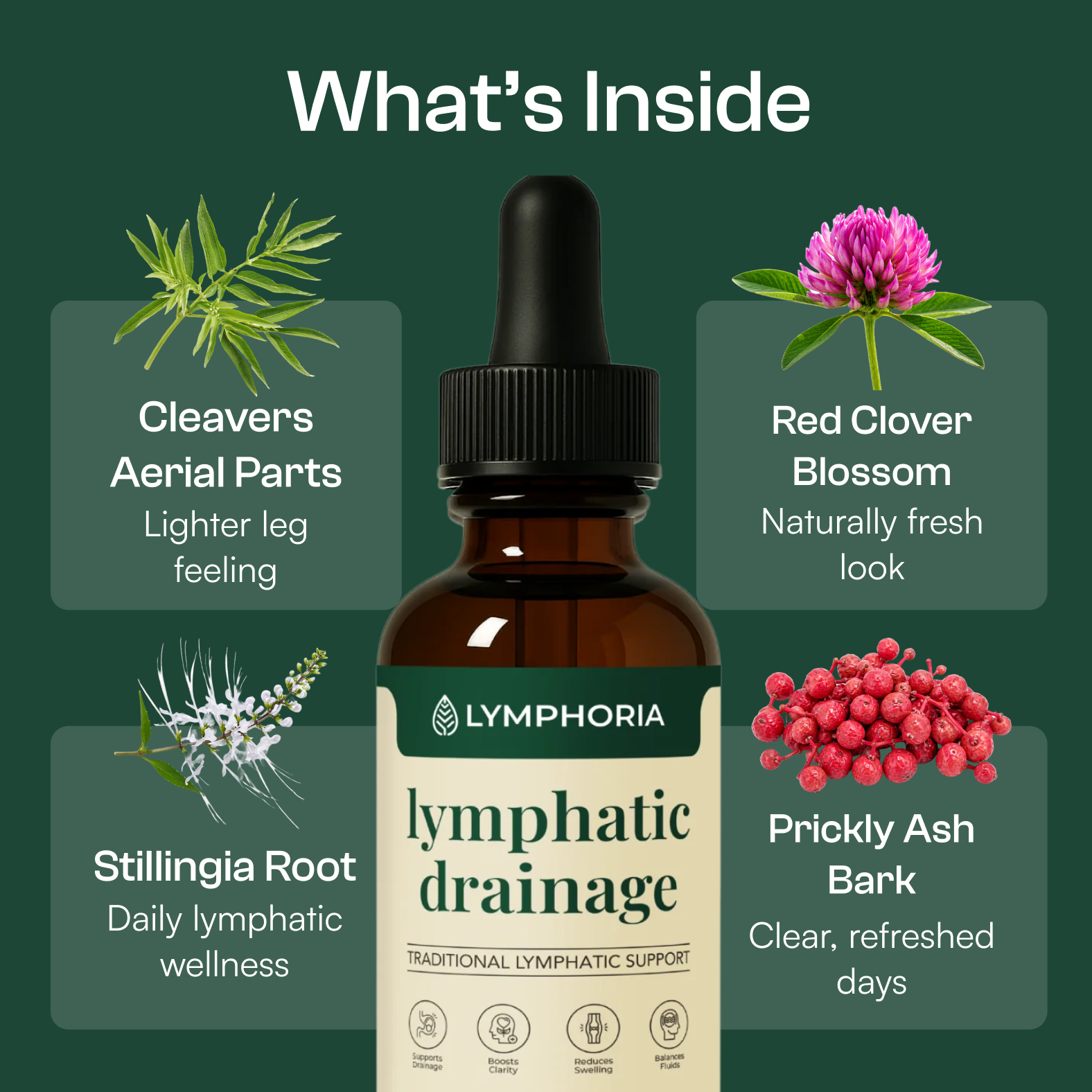 Lymphoria Wellness Drops