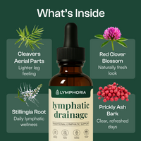 Lymphoria Wellness Drops