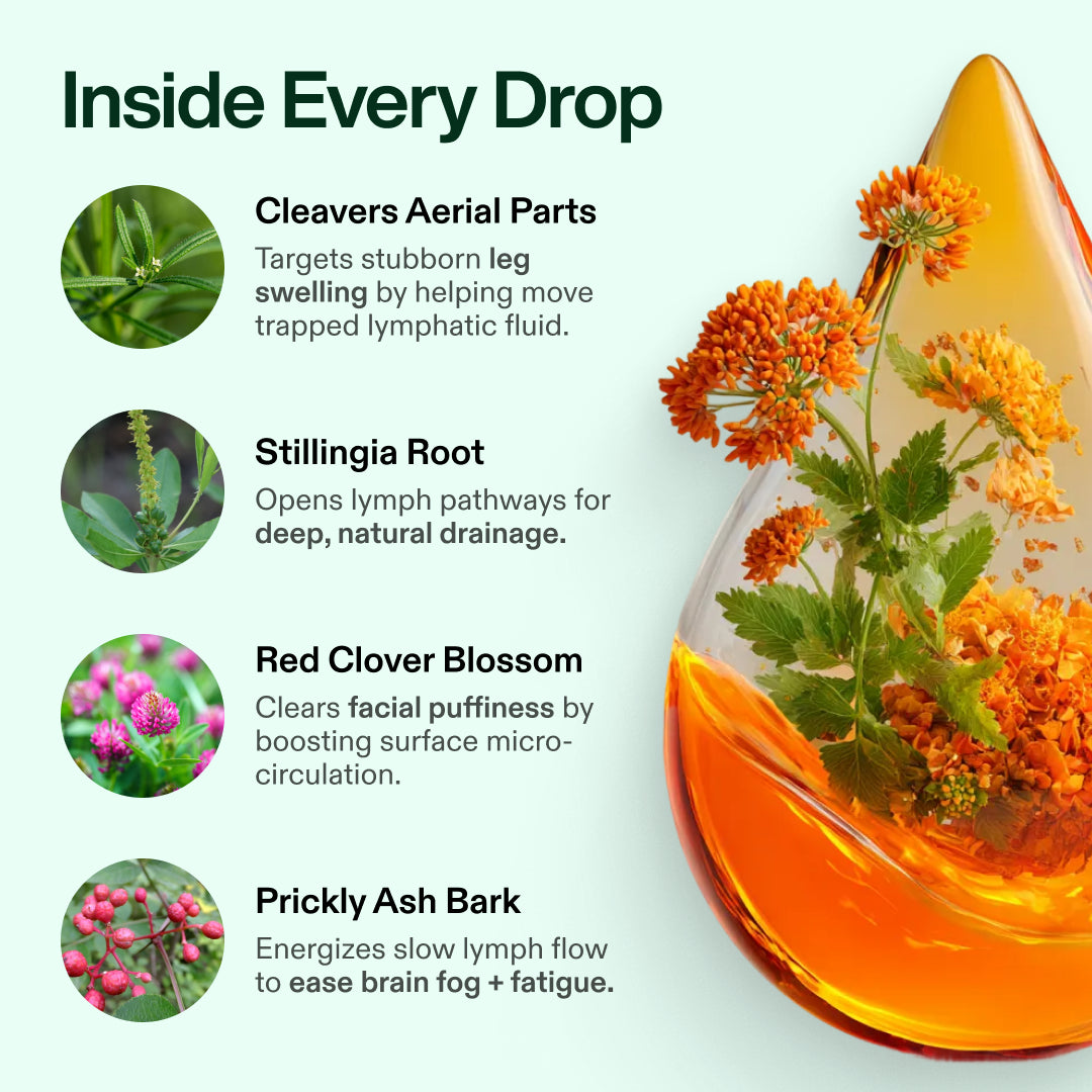 Lymphoria Wellness Drops