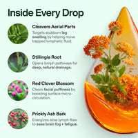 Lymphoria Wellness Drops